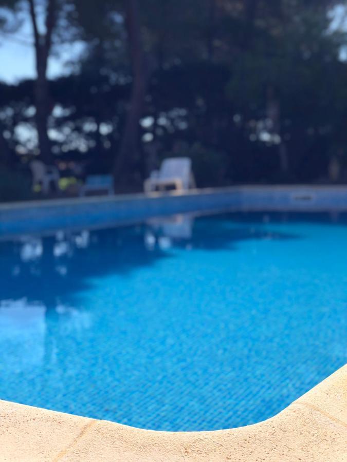 Le Paradis D'Anny Rouffiac-d'Aude Dış mekan fotoğraf
